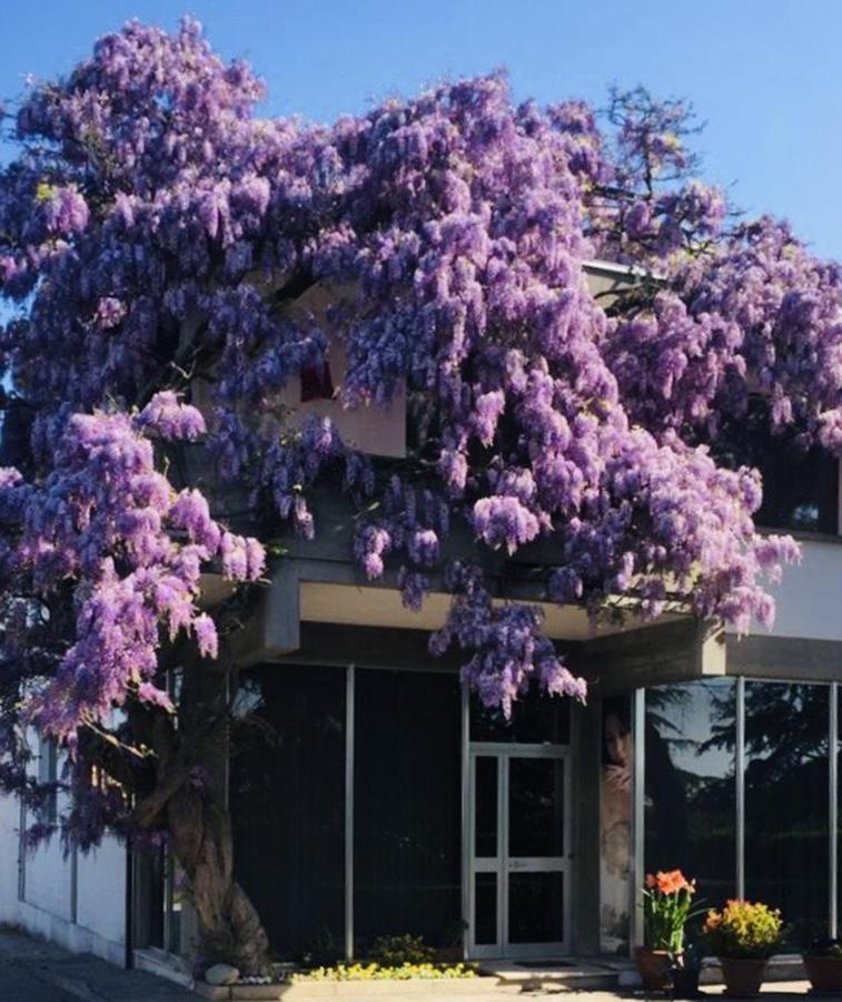 Garden Of Venice Hotel Pegolotte Bagian luar foto